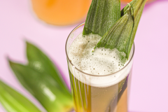 mexican-fermented-pineapple-drink