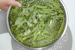 snap-peas3-scaled