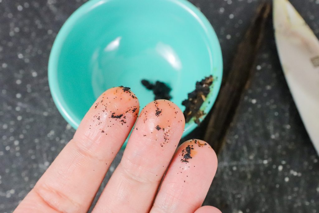 vanillabeanseeds kiyafries